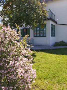 Vrt Kosovelove domačije v Tomaju2, arhiv Kosovelove knjižnice Sežana